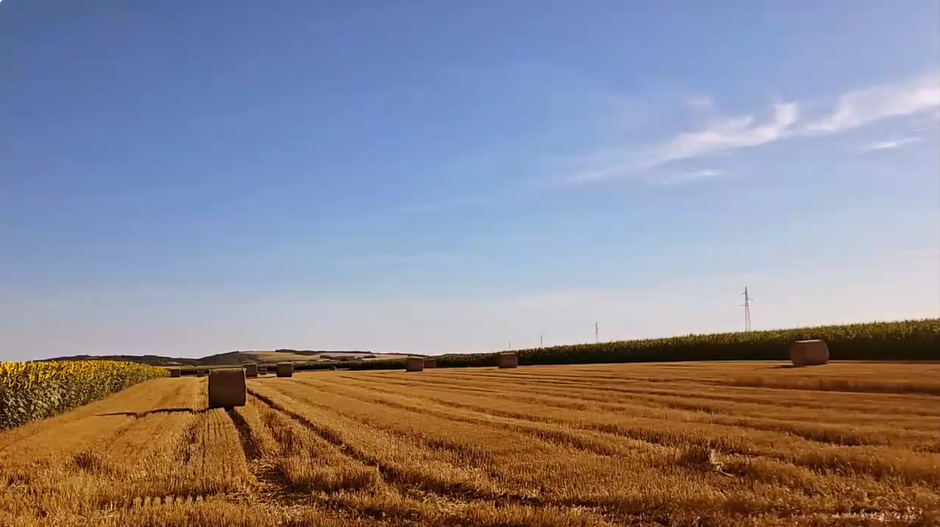 Slavonija i Baranja